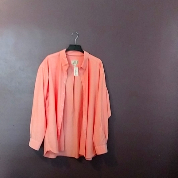 Shirts - Picture 3 of 5